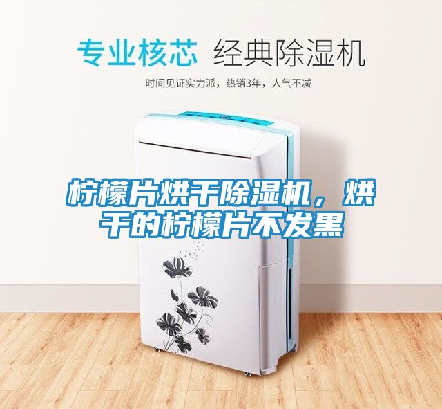柠檬片烘干除湿机，烘干的柠檬片不发黑