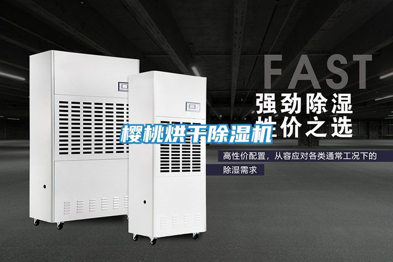 樱桃烘干除湿机