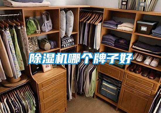 除湿机哪个牌子好