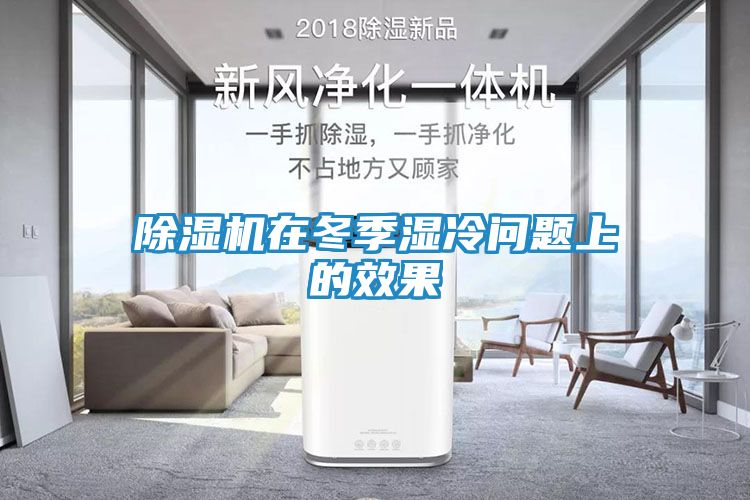 除湿机在冬季湿冷问题上的效果
