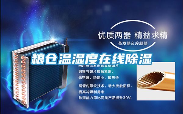 粮仓温湿度在线除湿