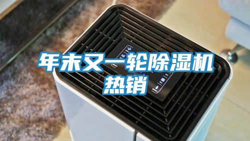 年末又一轮除湿机热销