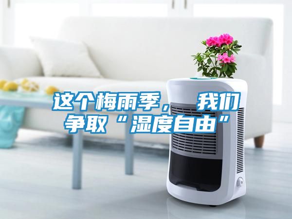 这个梅雨季， 我们争取“湿度自由”