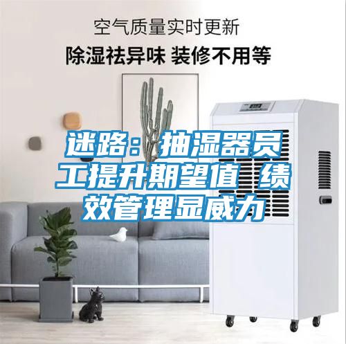 迷路：抽湿器员工提升期望值 绩效管理显威力