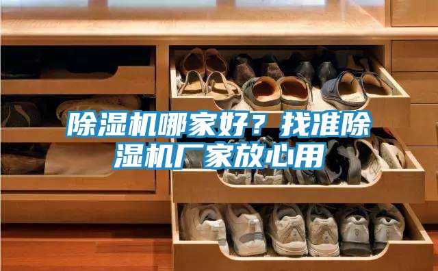 除湿机哪家好？找准除湿机厂家放心用