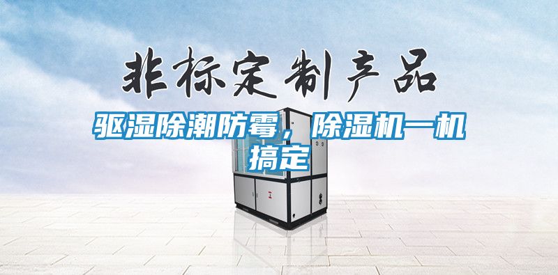 驱湿除潮防霉，除湿机一机搞定