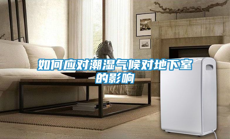 如何应对潮湿气候对地下室的影响