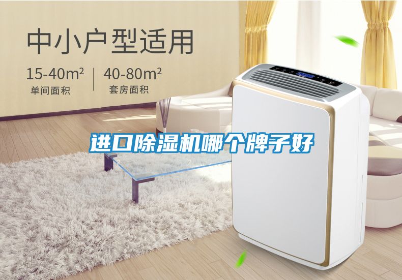 进口除湿机哪个牌子好