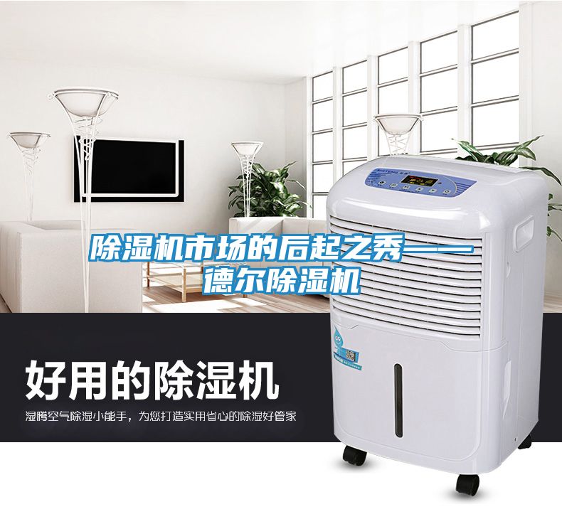 除湿机市场的后起之秀——德尔除湿机