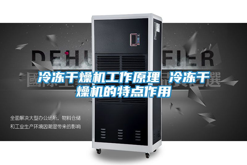 冷冻干燥机工作原理 冷冻干燥机的特点作用