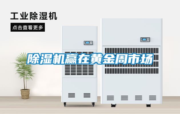 除湿机赢在黄金周市场