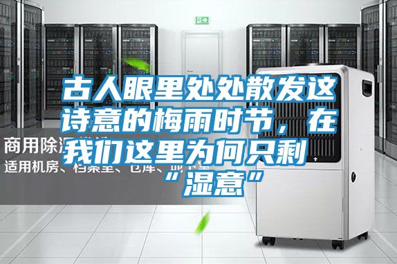 古人眼里处处散发这诗意的梅雨时节，在我们这里为何只剩“湿意”