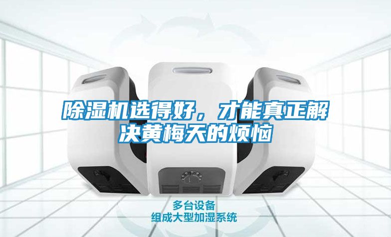 除湿机选得好，才能真正解决黄梅天的烦恼