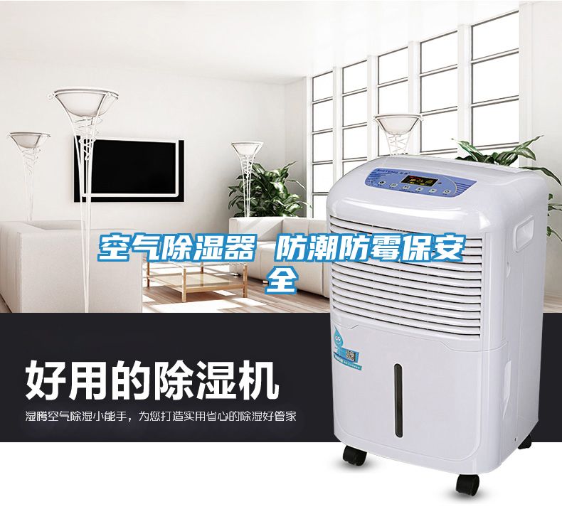 空气除湿器 防潮防霉保安全