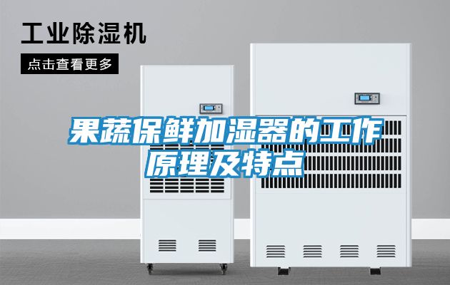 果蔬保鲜加湿器的工作原理及特点