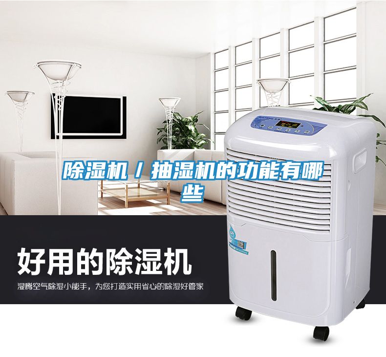 除湿机／抽湿机的功能有哪些