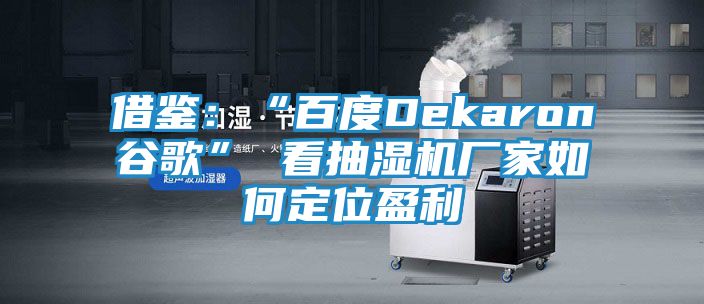 借鉴：“百度Dekaron谷歌” 看抽湿机厂家如何定位盈利