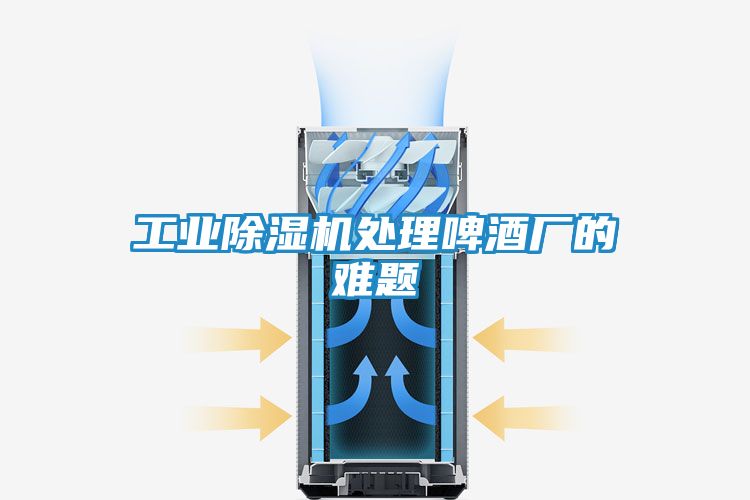 工业除湿机处理啤酒厂的难题