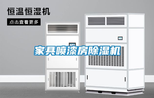 家具喷漆房除湿机