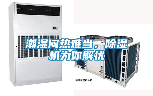 潮湿闷热难当，除湿机为你解忧