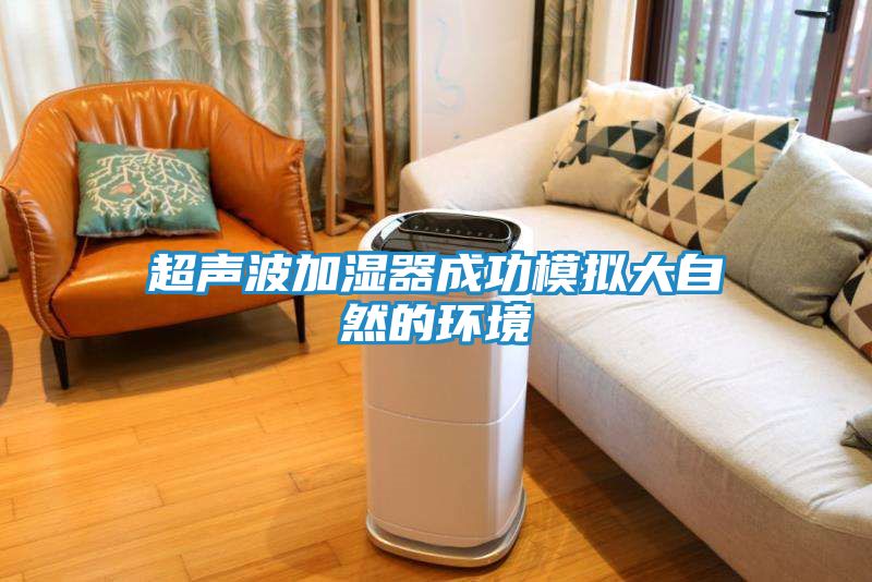 超声波加湿器成功模拟大自然的环境