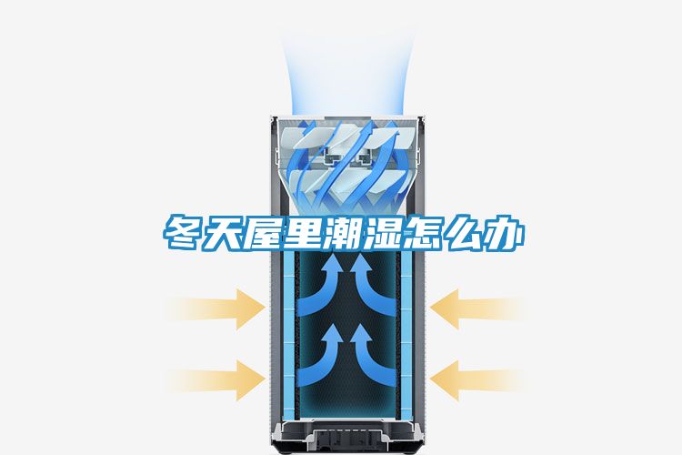 冬天屋里潮湿怎么办
