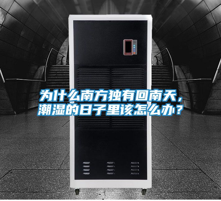 为什么南方独有回南天，潮湿的日子里该怎么办？