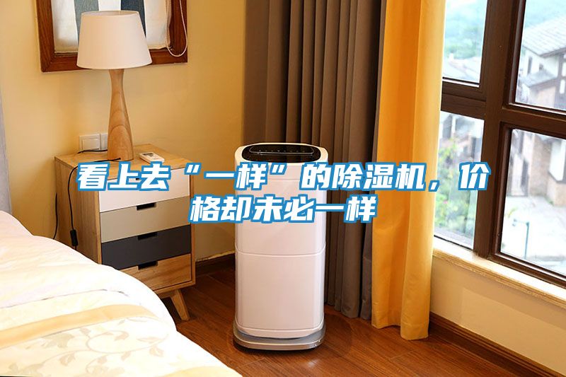 看上去“一样”的除湿机，价格却未必一样