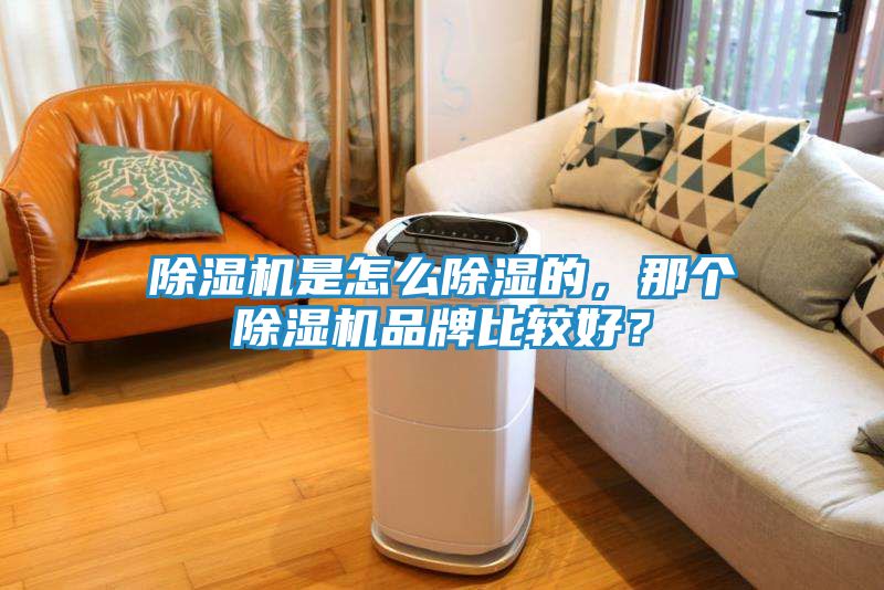 除湿机是怎么除湿的，那个除湿机品牌比较好？