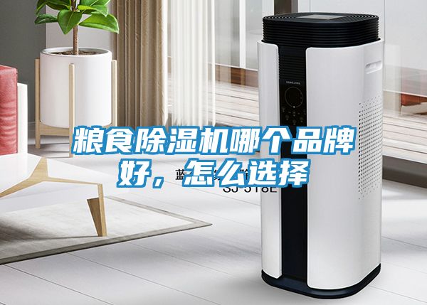 粮食除湿机哪个品牌好，怎么选择