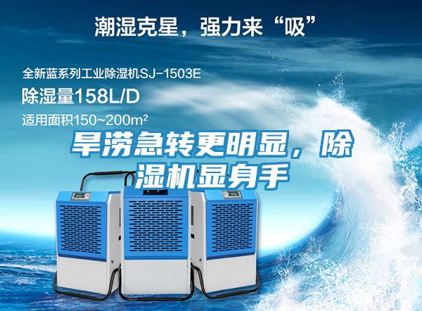旱涝急转更明显，除湿机显身手