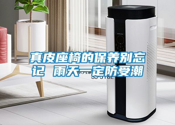 真皮座椅的保养别忘记 雨天一定防受潮