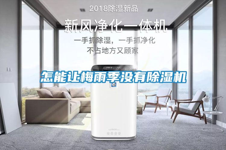 怎能让梅雨季没有除湿机
