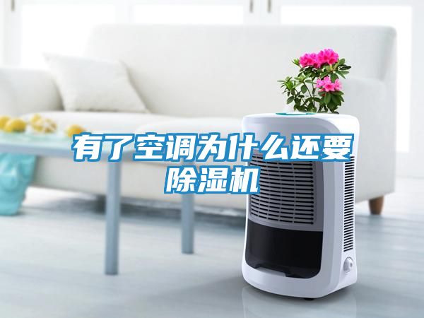 有了空调为什么还要除湿机