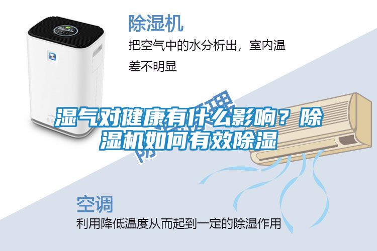 湿气对健康有什么影响？除湿机如何有效除湿