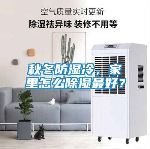 秋冬防湿冷，家里怎么除湿最好？