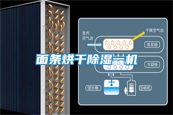 面条烘干除湿一机