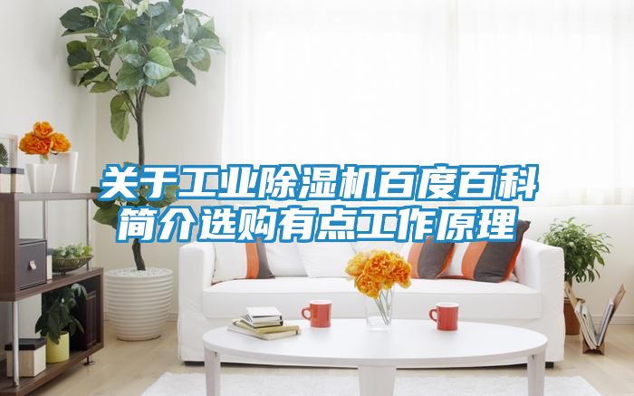 关于工业除湿机百度百科简介选购有点工作原理