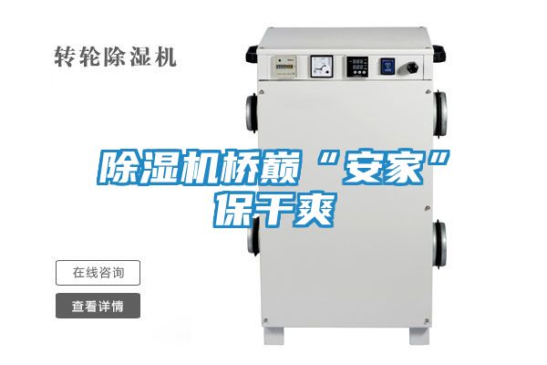 除湿机桥巅“安家”保干爽