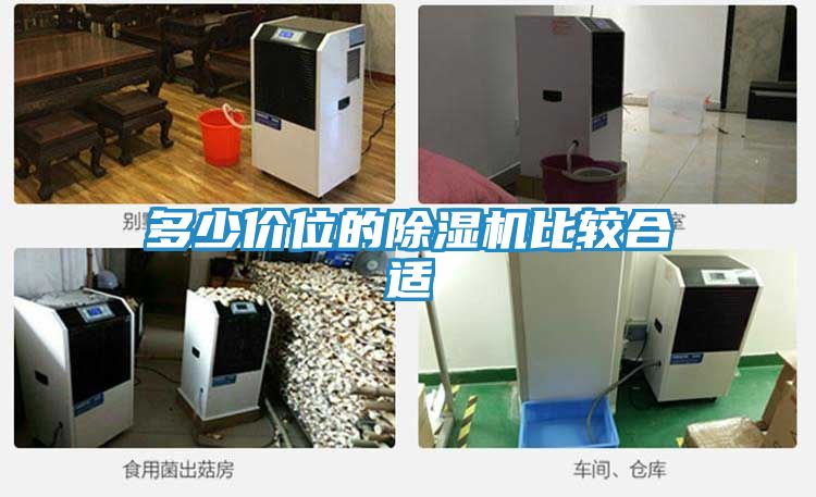 多少价位的除湿机比较合适