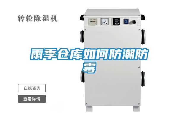 雨季仓库如何防潮防霉
