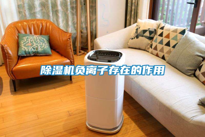 除湿机负离子存在的作用