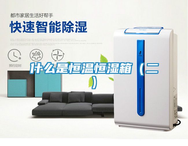 什么是恒温恒湿箱（二)