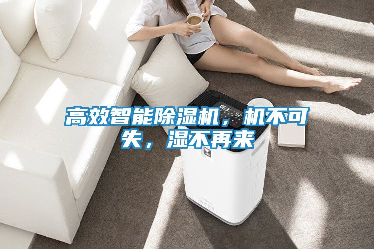 高效智能除湿机，机不可失，湿不再来