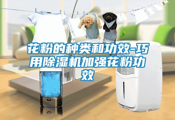 花粉的种类和功效-巧用除湿机加强花粉功效