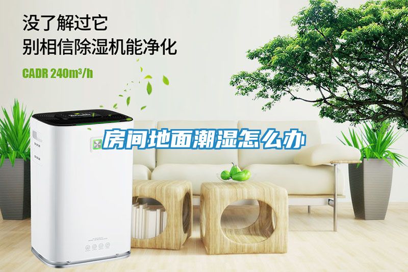 房间地面潮湿怎么办