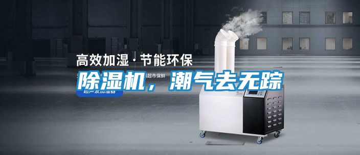 除湿机，潮气去无踪