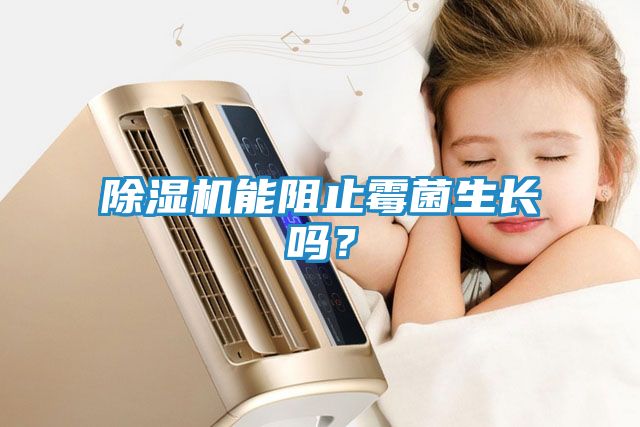除湿机能阻止霉菌生长吗?