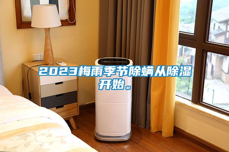 2023梅雨季节除螨从除湿开始。