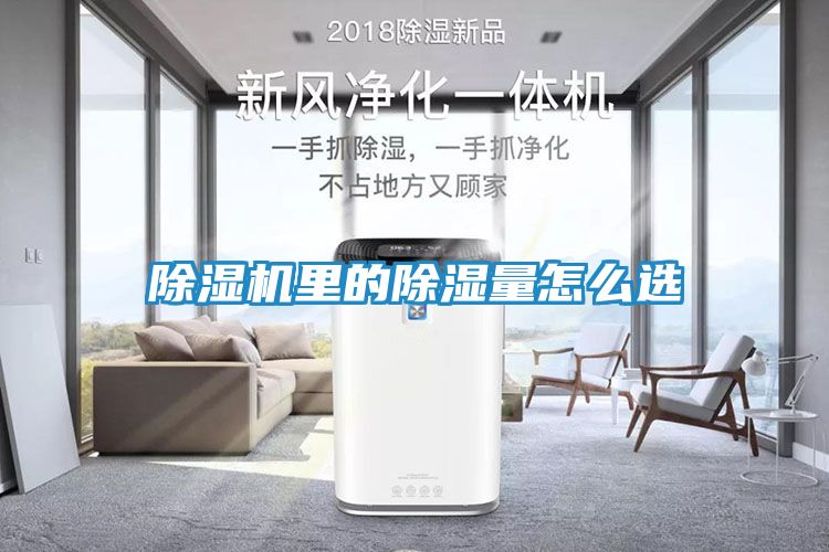 除湿机里的除湿量怎么选